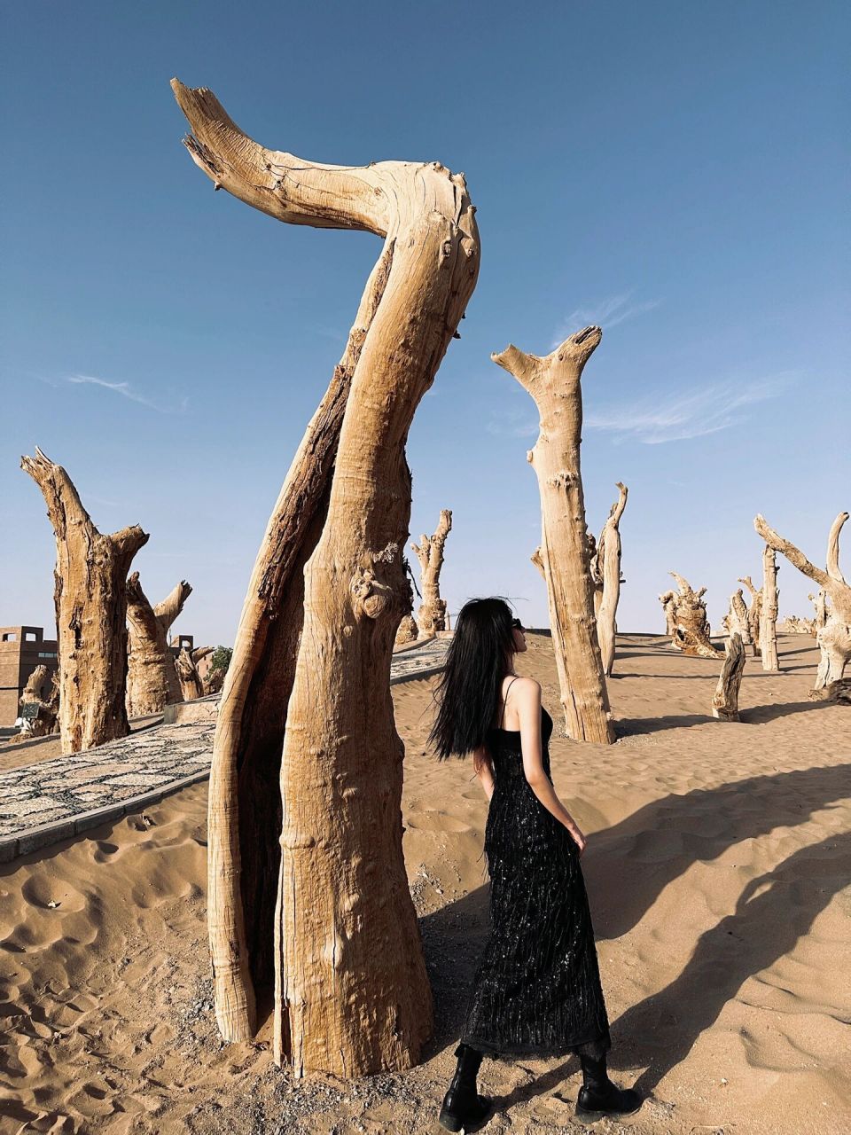 打卡倪妮同款胡杨林|敦煌小众拍摄地文博园 没来敦煌文博园之前 我还