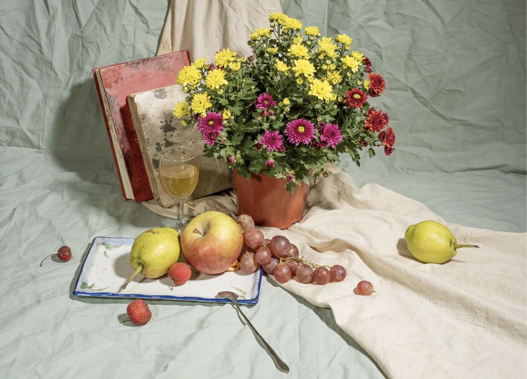 花卉色彩静物,同类色的区分及步骤 #美术生# #联考# #校考# #色彩静物