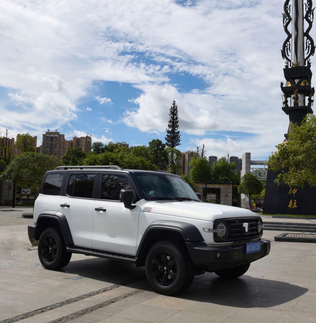 最美tank图鉴|坦克300·黑白经典双拼94 黑色的坦克300是霸气 白色