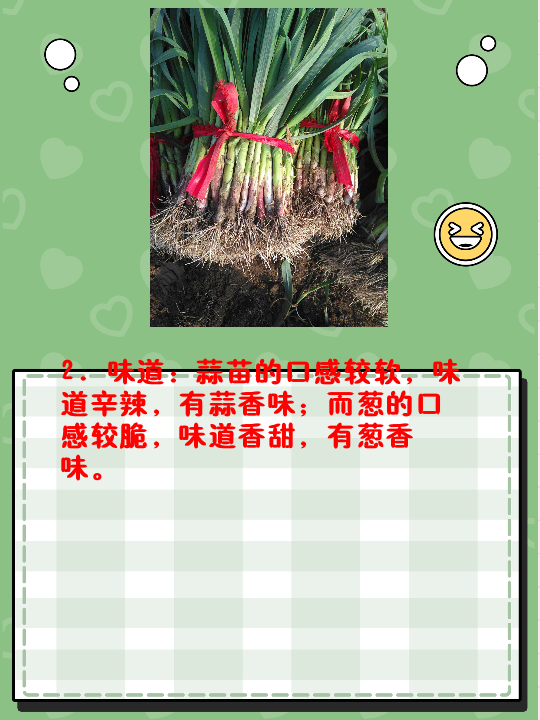 蒜苗和葱的区别 蒜苗和葱在以下三个方面存在区别:   1.