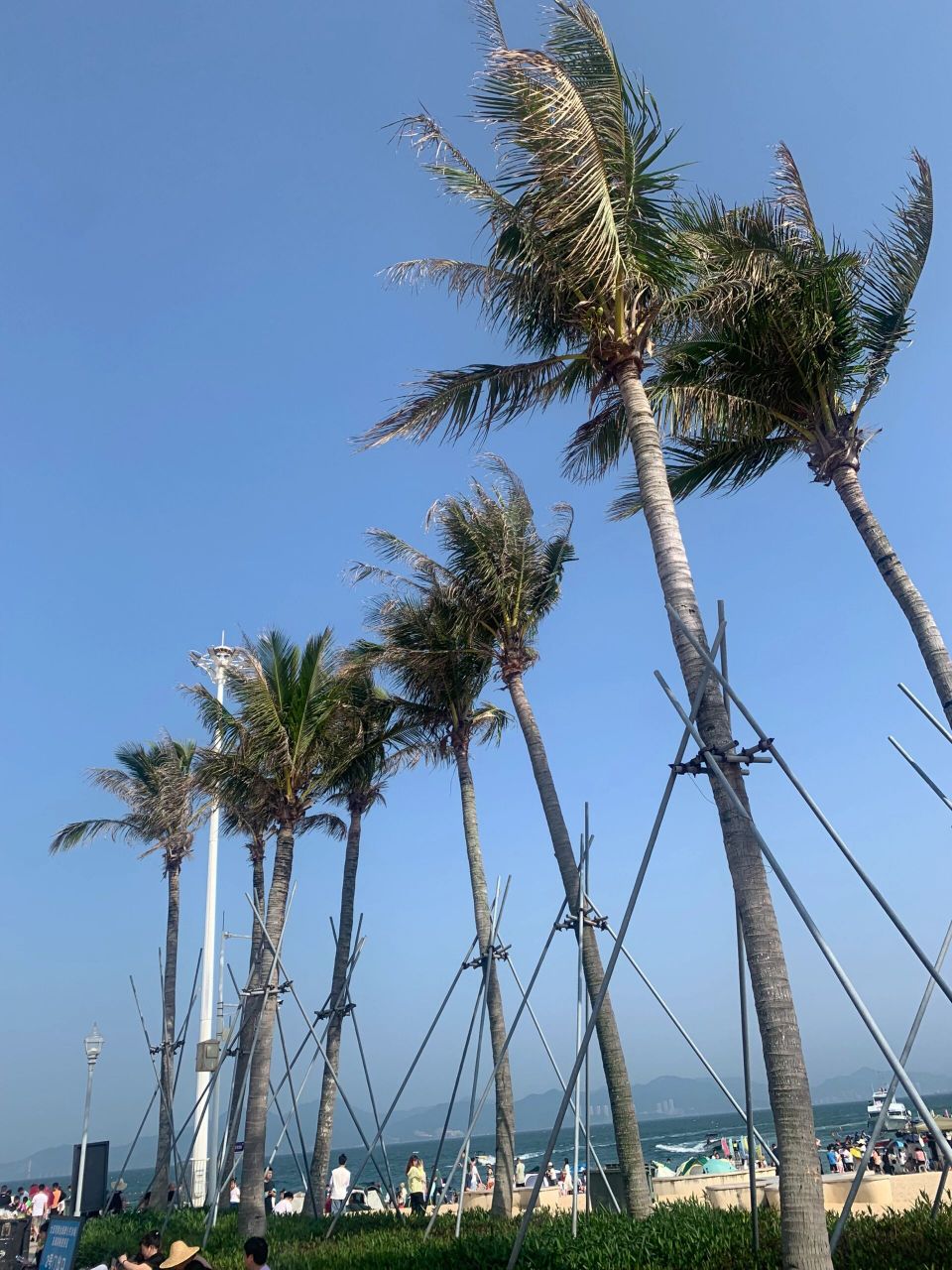 惠阳海滩图片