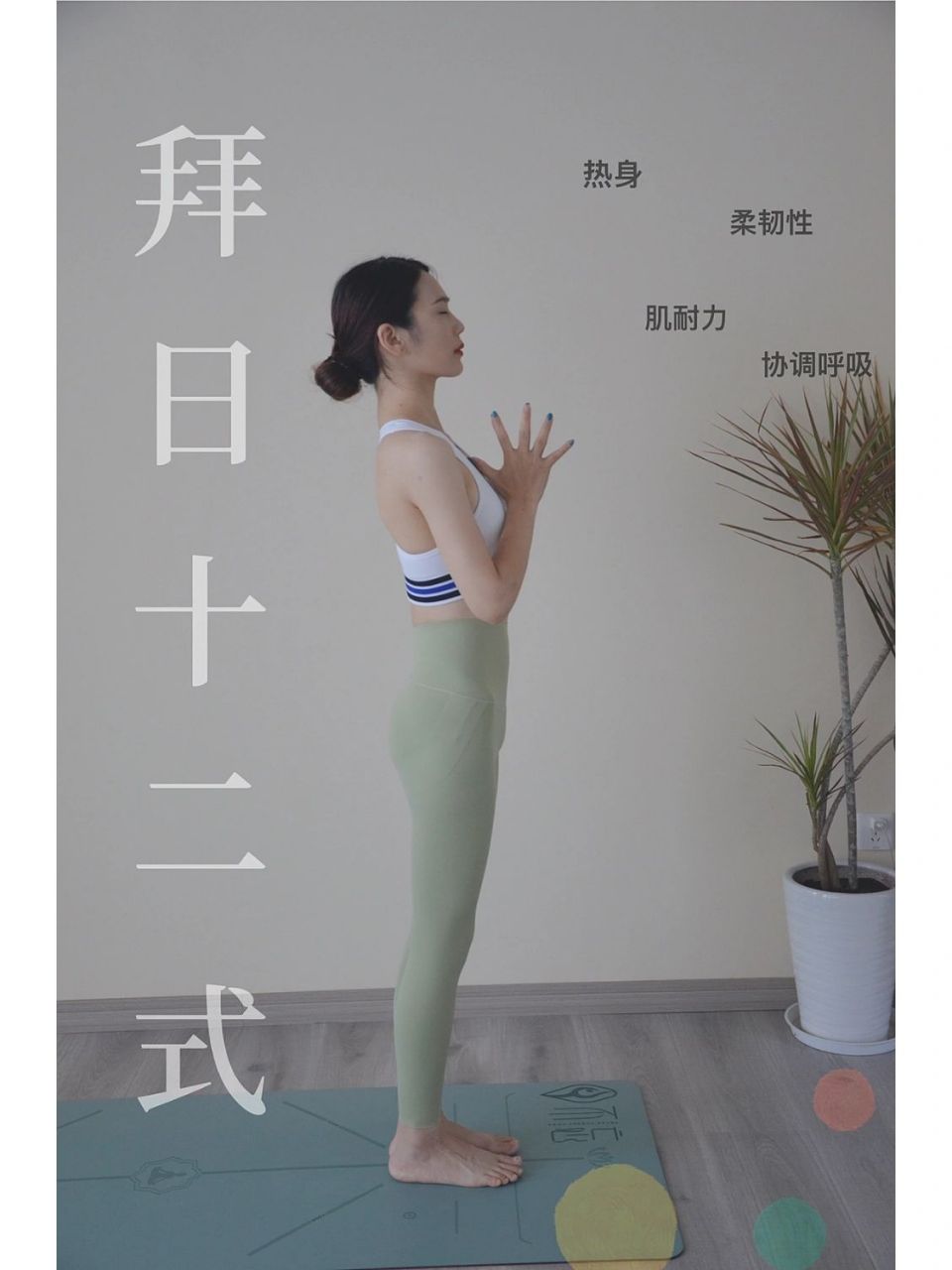 初级拜日十二式(太阳致敬式) 91拜日式,由十二个姿势组成,如上图