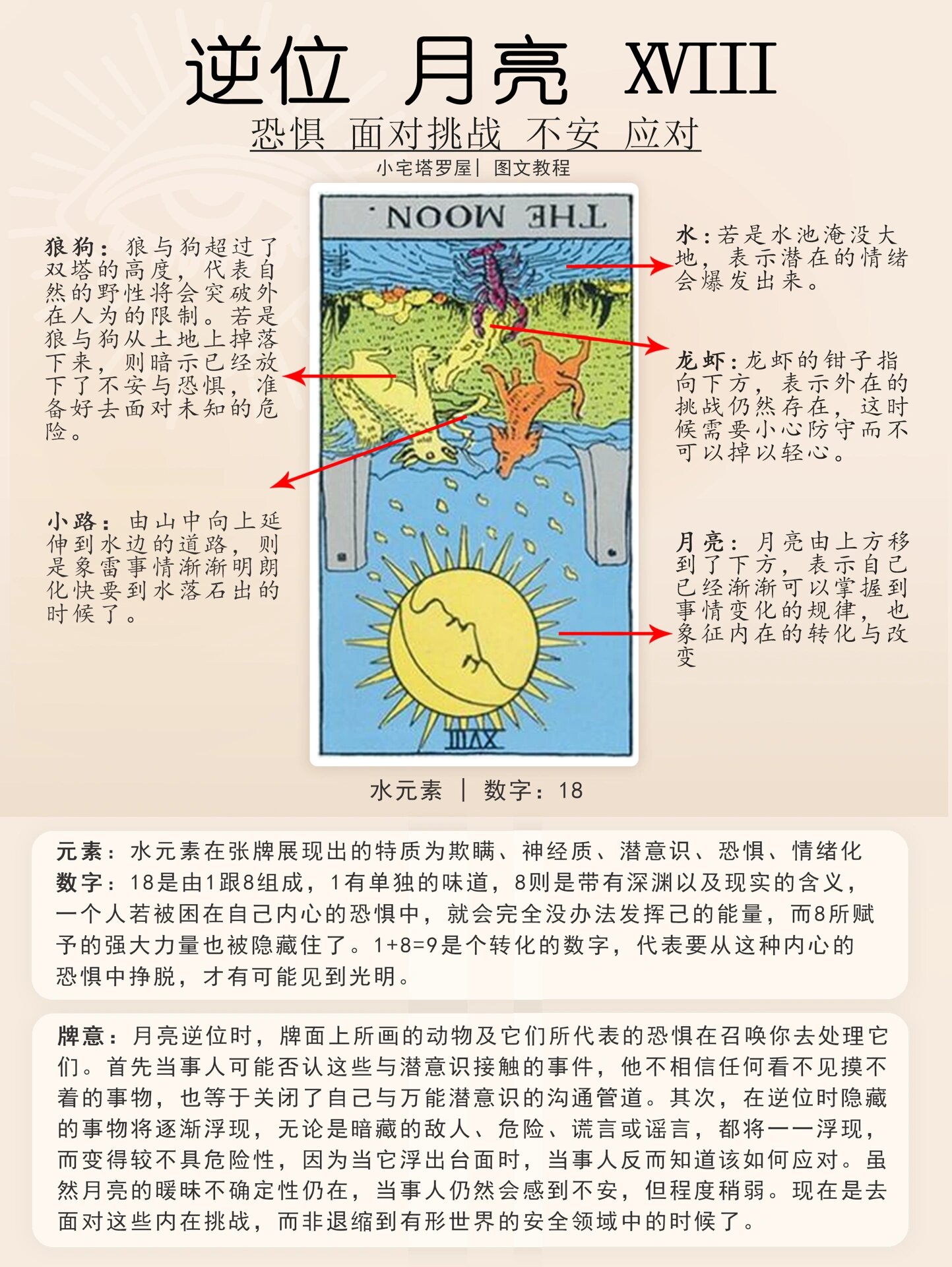 18.月亮逆位|塔罗牌意分析