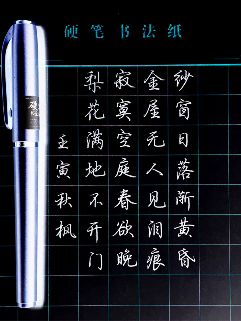 寂寞空庭春欲晚,梨花满地不开门 唐诗#行楷##书法