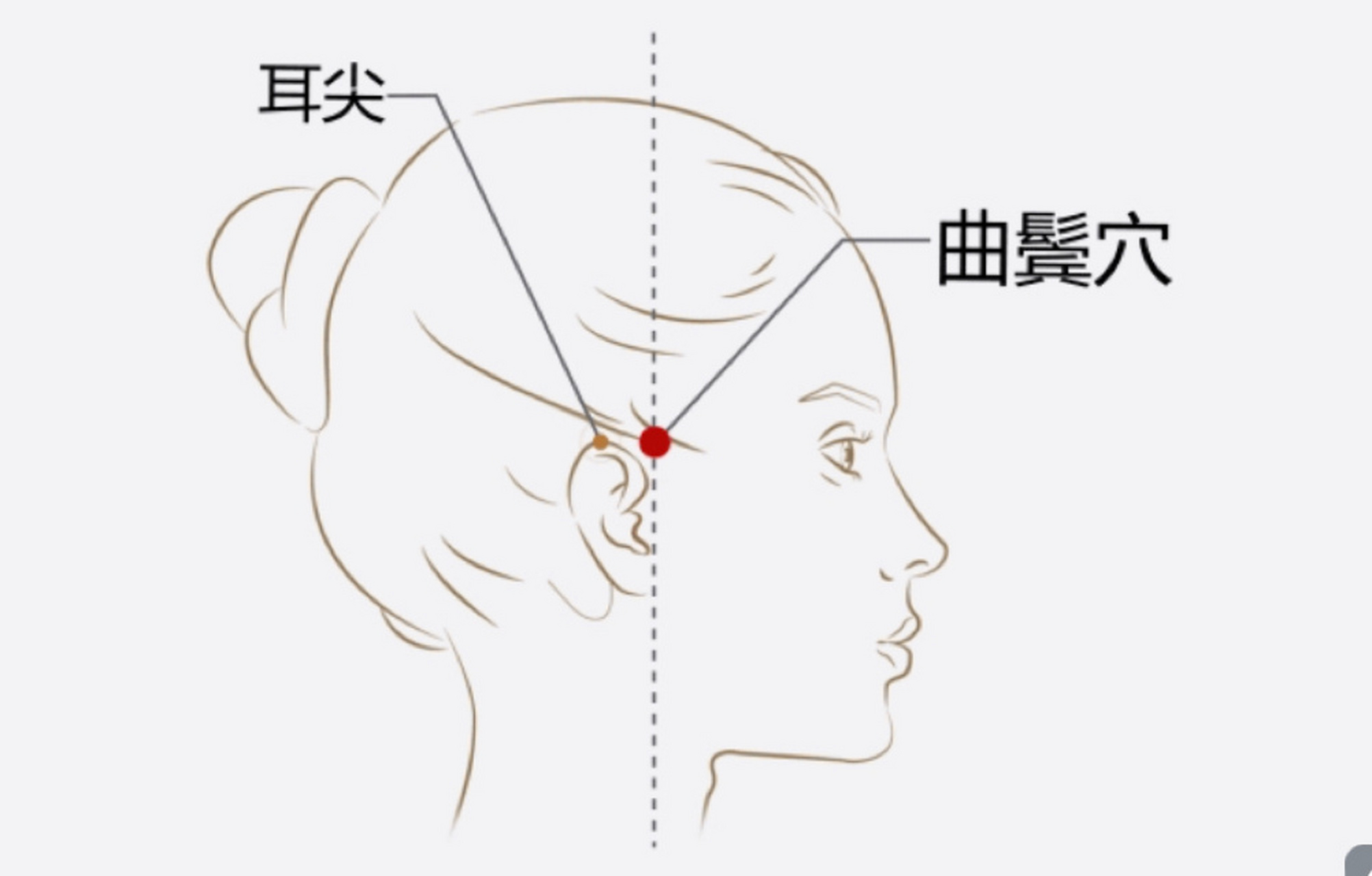 8寸.可灸. 按摩:对曲鬓穴