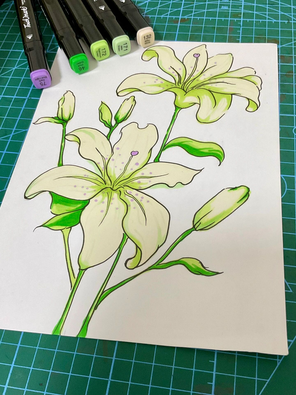 马克笔百合花教程 儿童画画花 马克笔绘画教程 儿童画绘画教学 1,认真