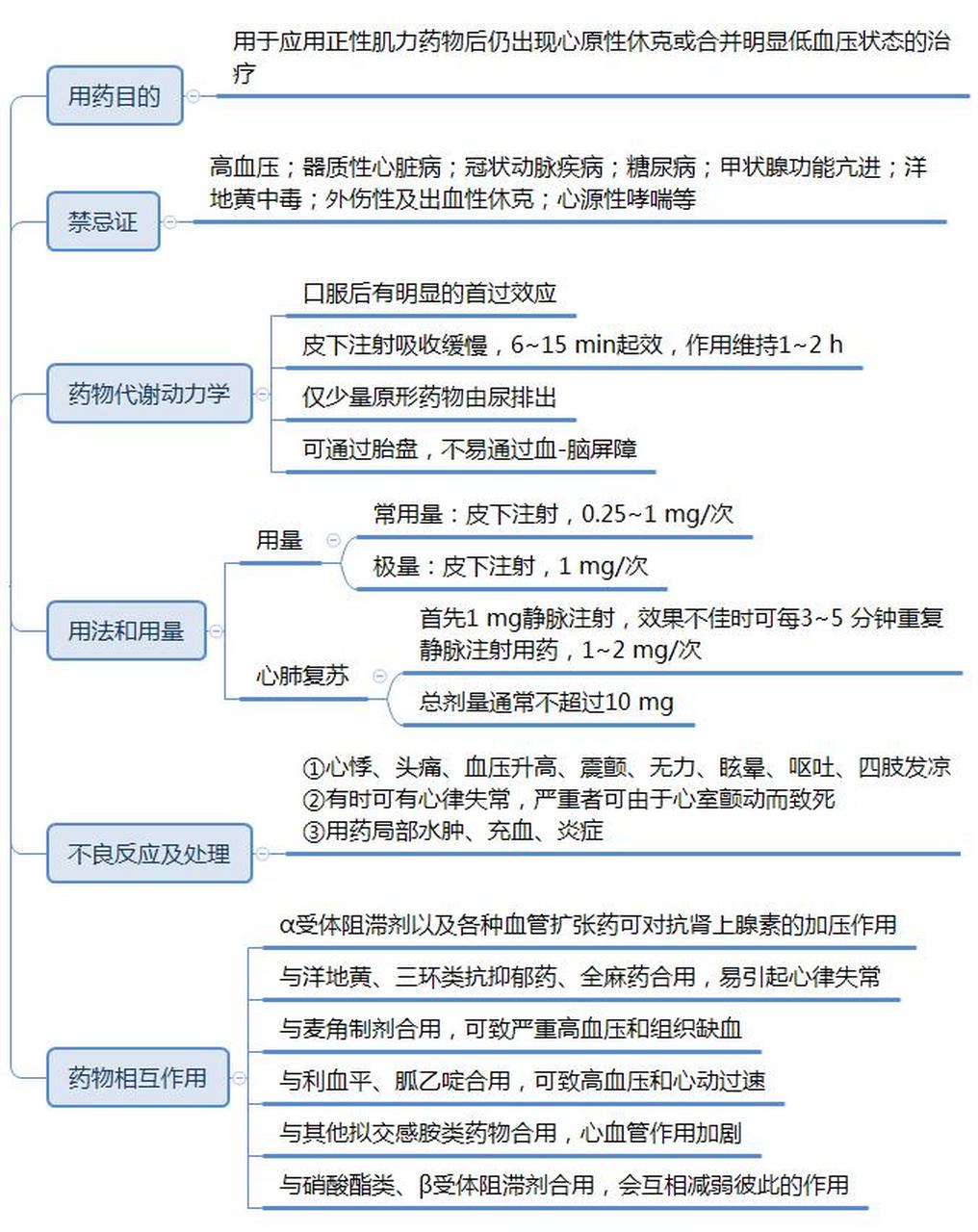 去甲肾上腺素合成图片