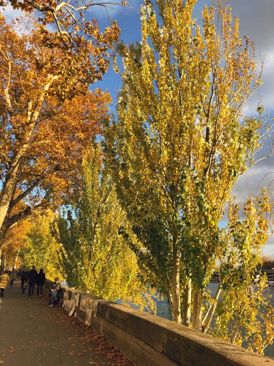 宝藏小众品牌vero cuoio 听说凉鞋更美!