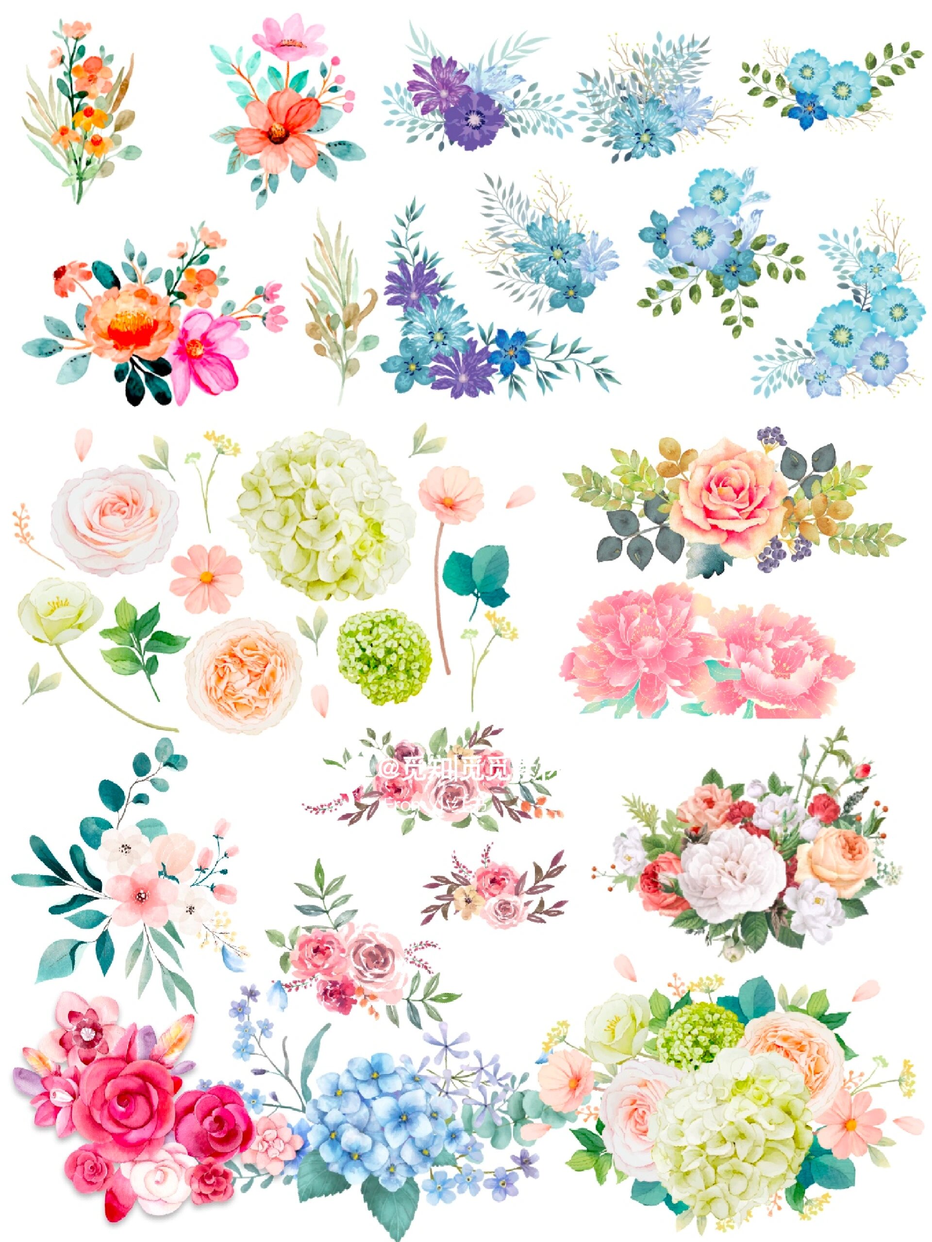 免抠花卉花朵素材�