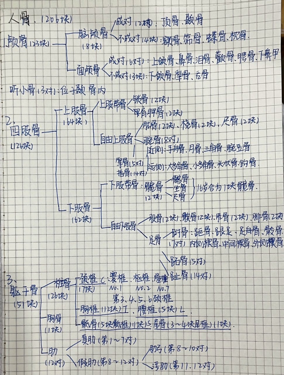 人骨分类 思维导图 骨是人体最坚硬的结缔组织,是在结缔组织或软骨
