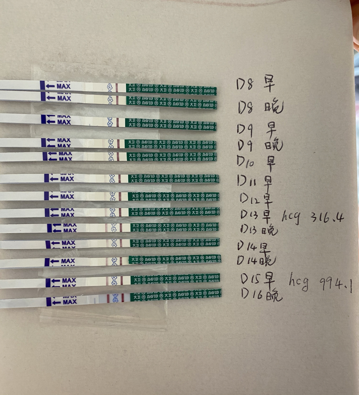 我也在移植后(不含移植日)第四天玩了一把尿,结果大白板