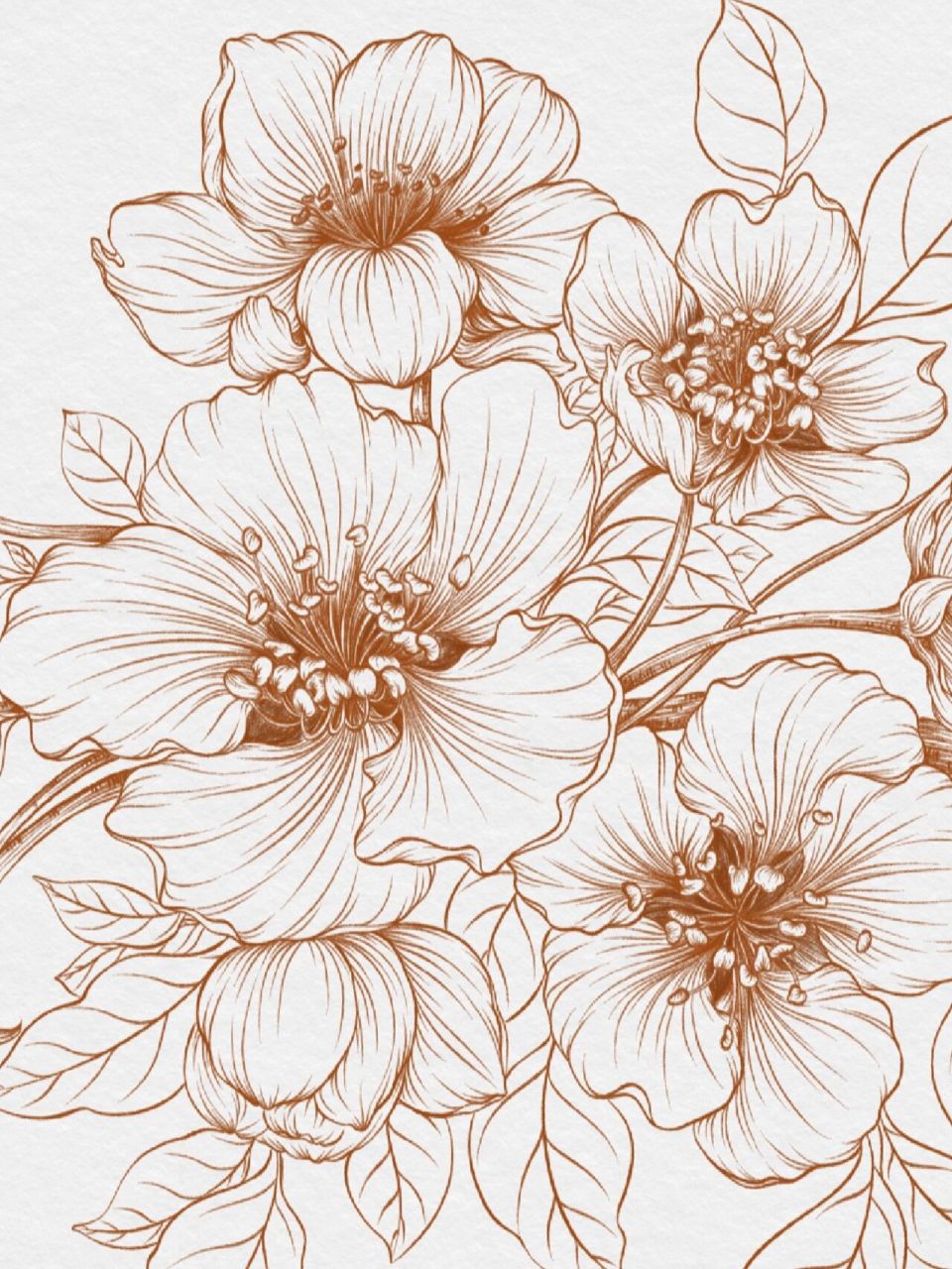 花卉速写『原创』梨花 梨花一直是我心中白月光,一直有执念,一直不敢