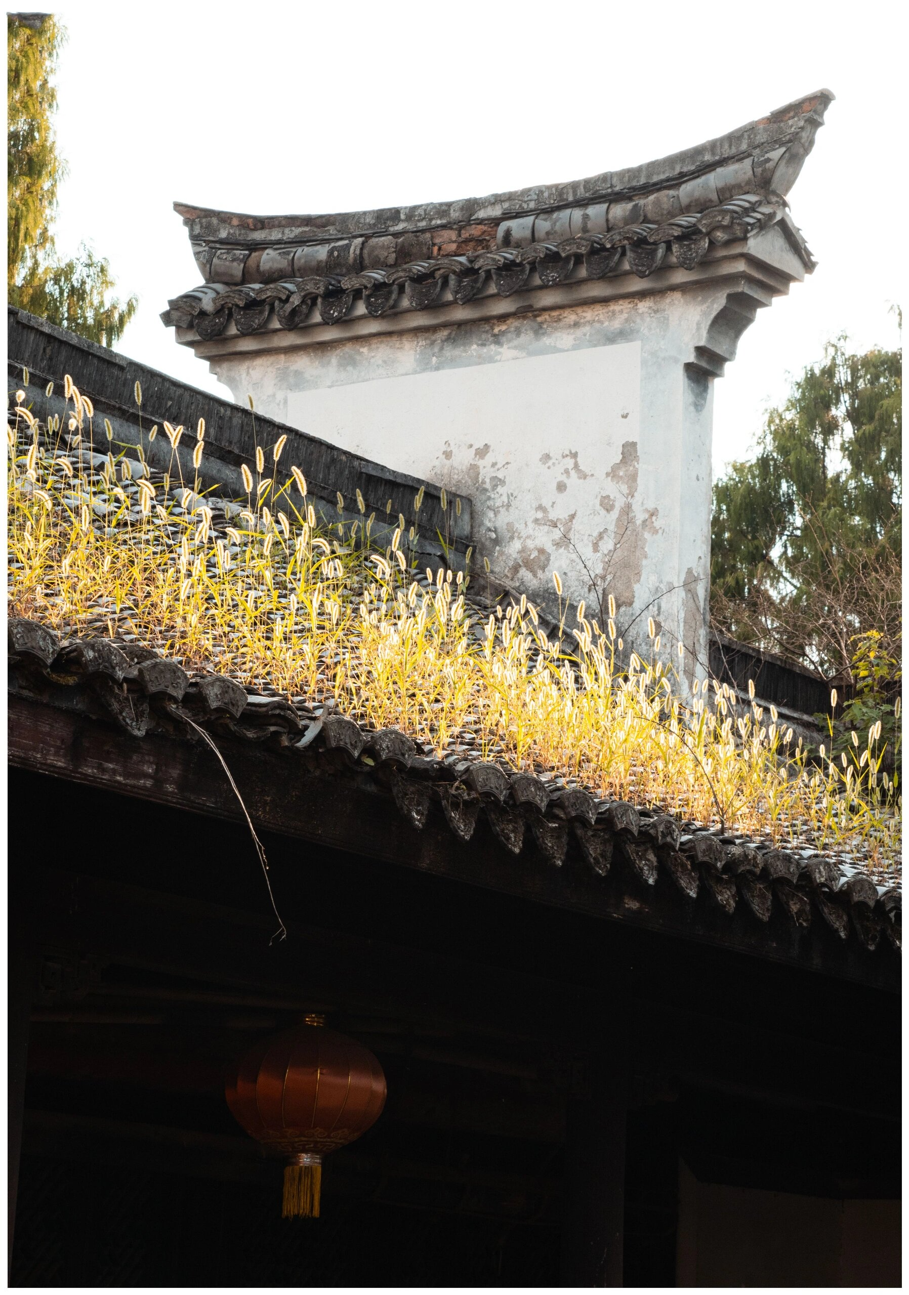 新昌沃洲湖(长诏水库)