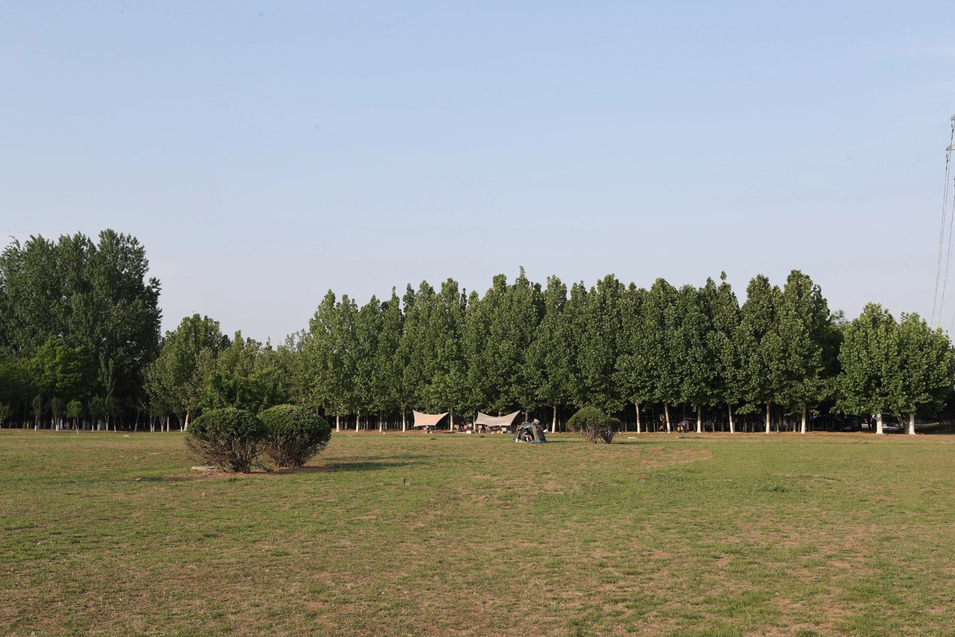 天津津南区免费郊野公园 最近在津南区鄱阳南路发现一个免费的郊野