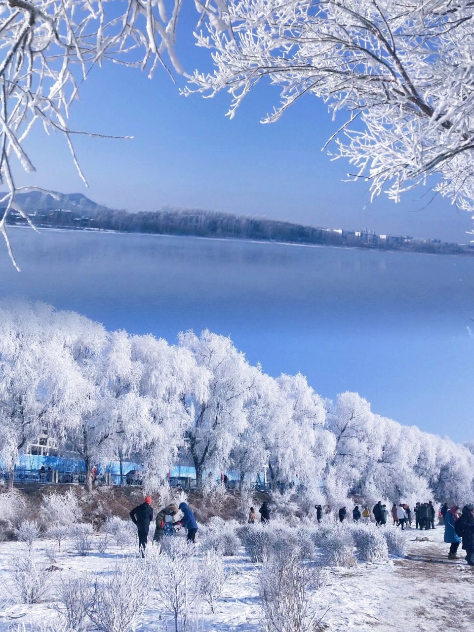 雾凇图片风景图片