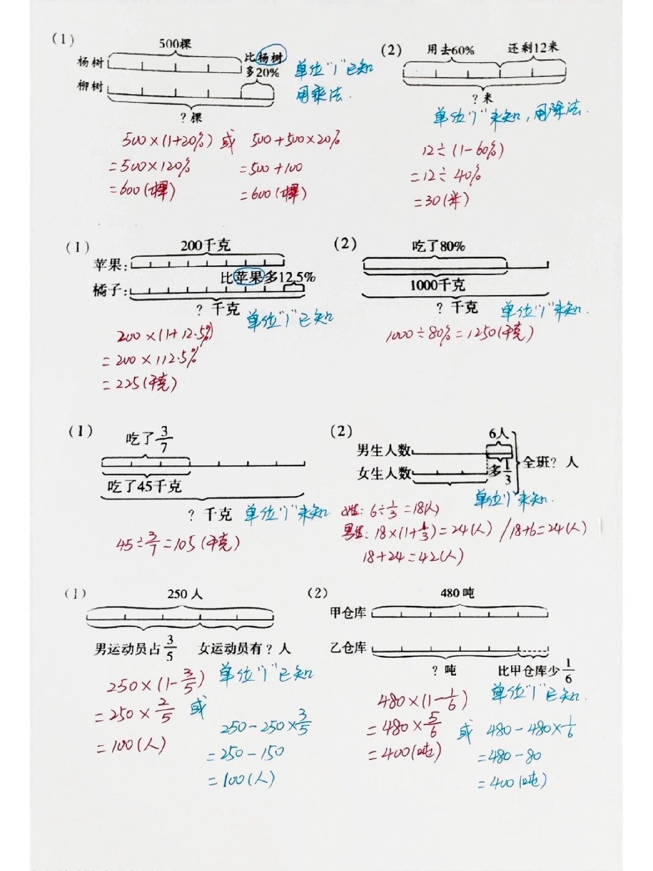 六年级线段图的画法图片