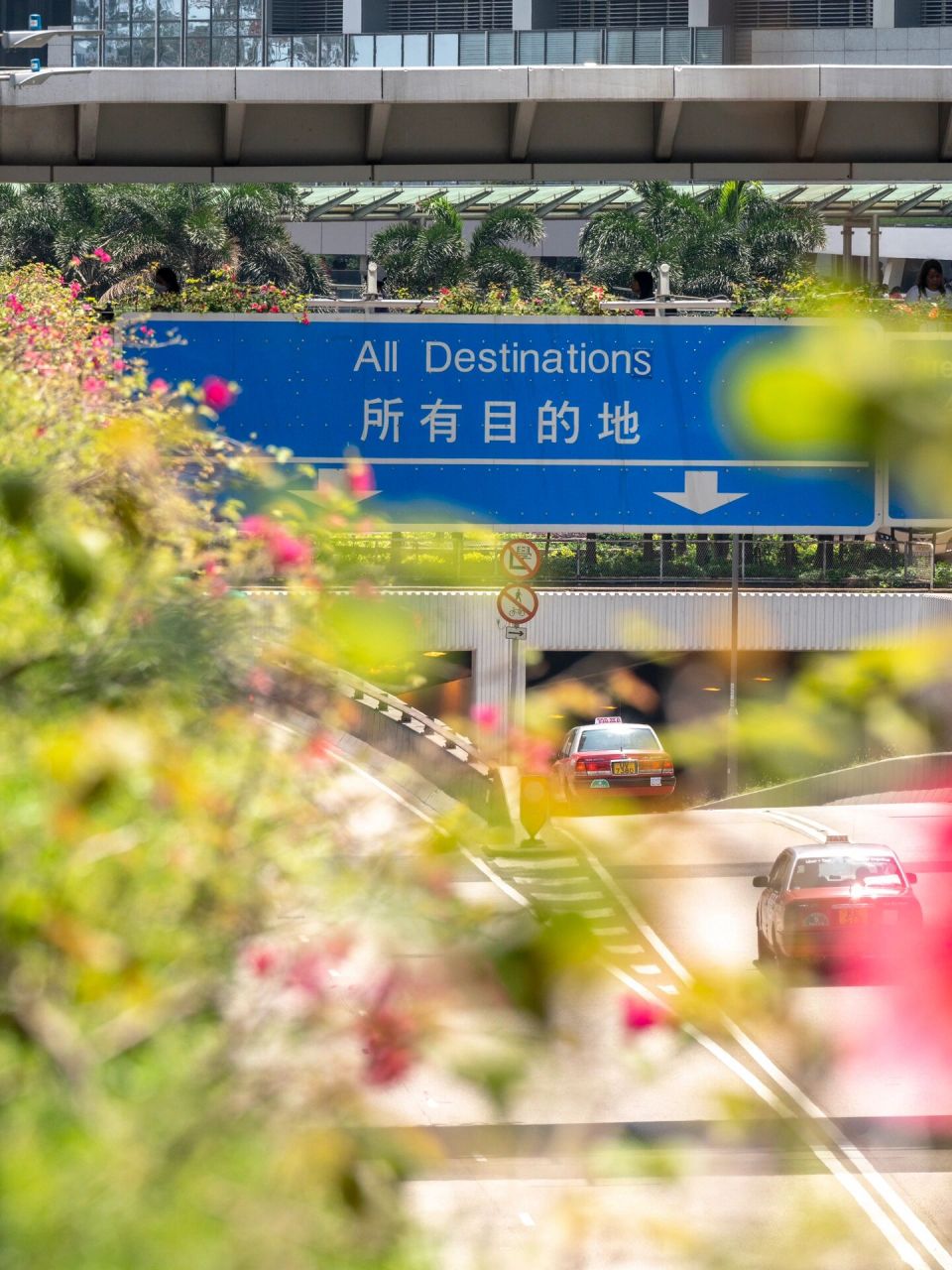 香港|愿对世界好奇能让我们抵达所有目的地 『有个牌可以告诉你去所有
