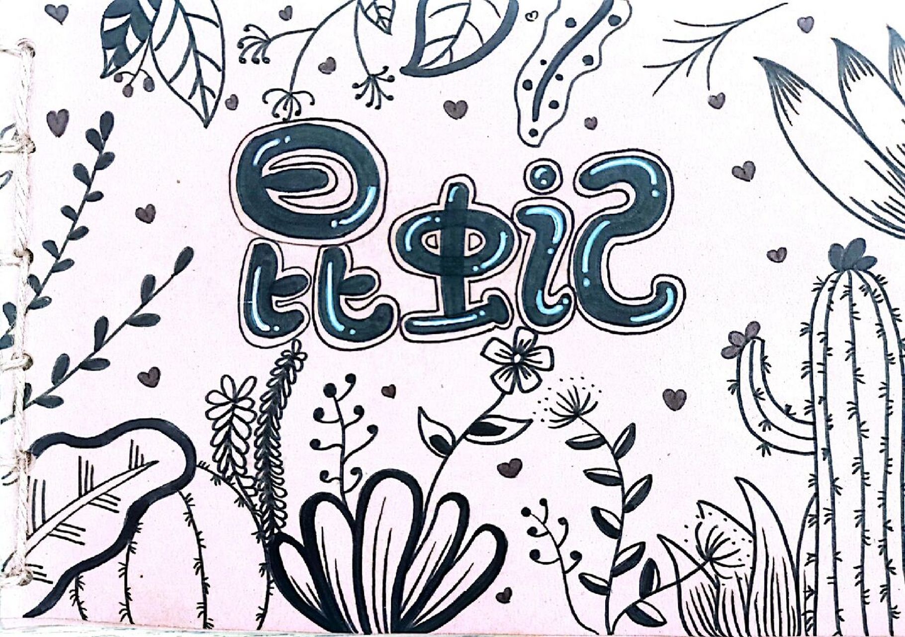 昆虫记——昆虫线描