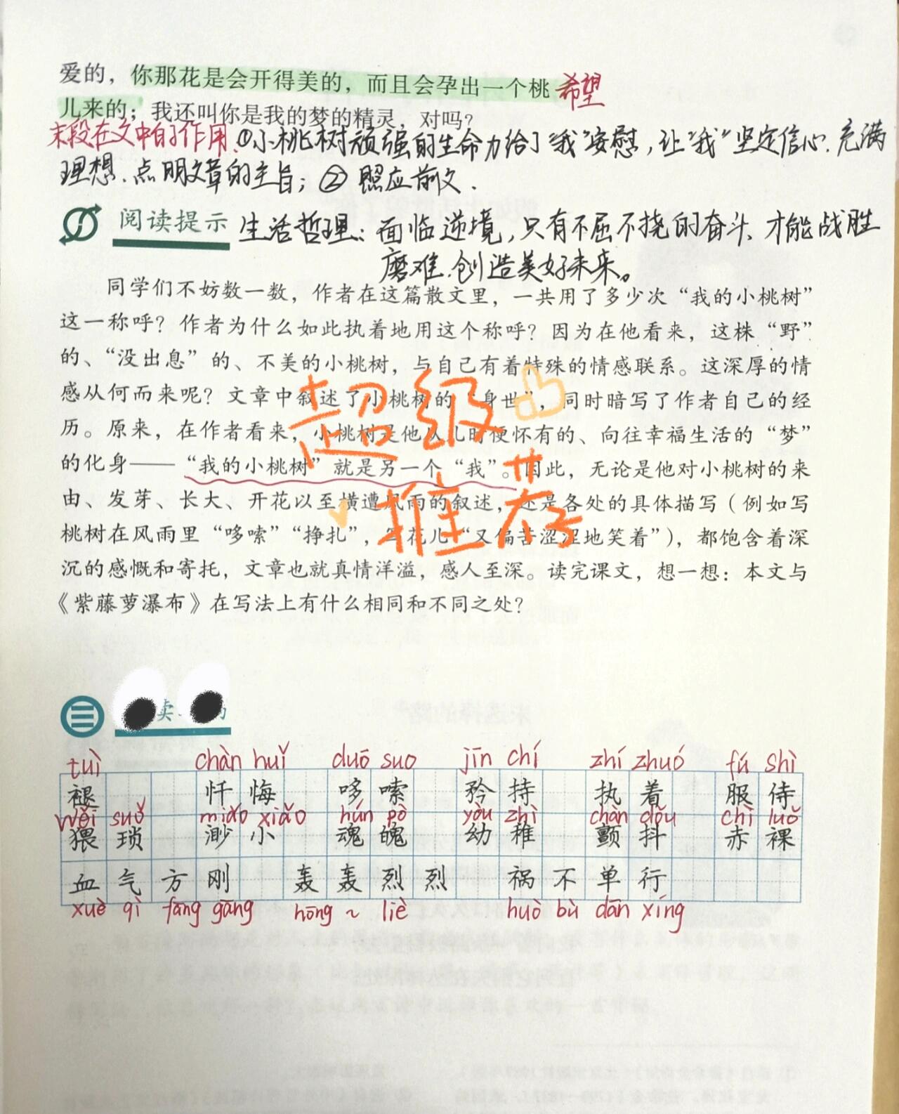 一棵小桃树课文笔记图片