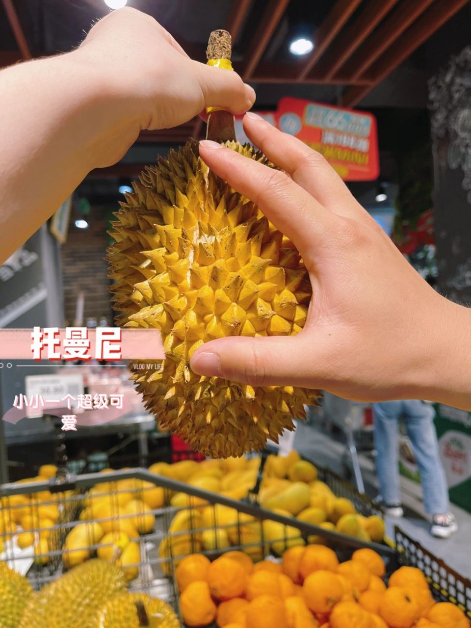 青尼和托曼尼对比 在天虹买了两个榴莲 青尼榴莲肉质很饱满细腻,是偏