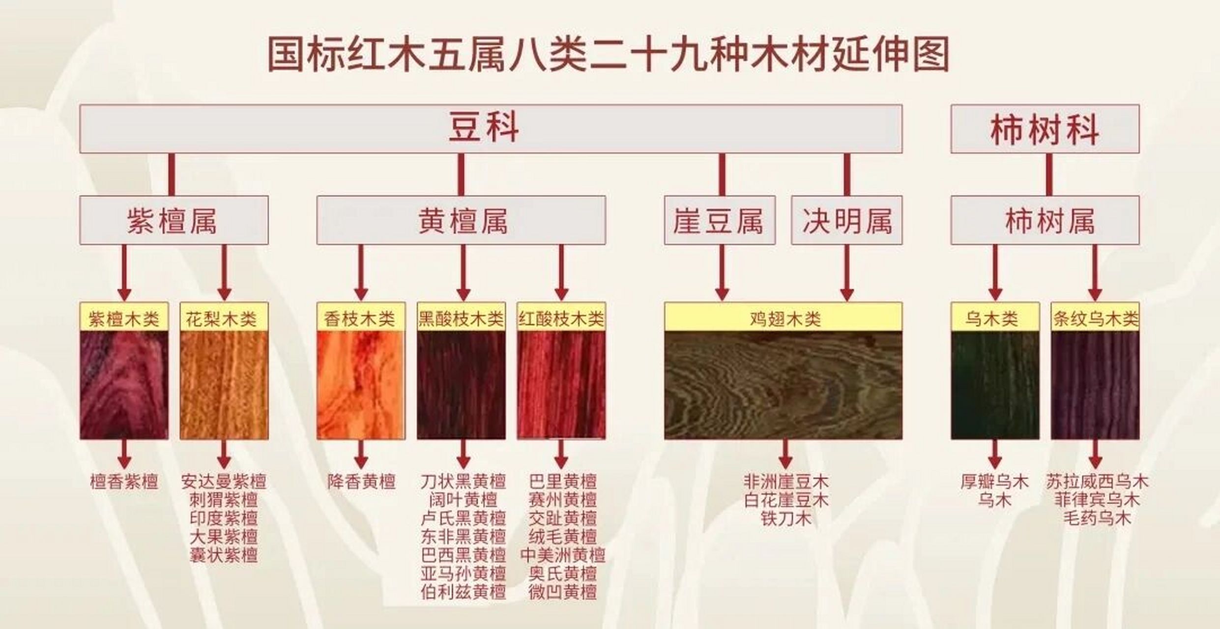 国标红木有5属8类29种之多,很多时候又是学名和俗称掺杂着表述,因此