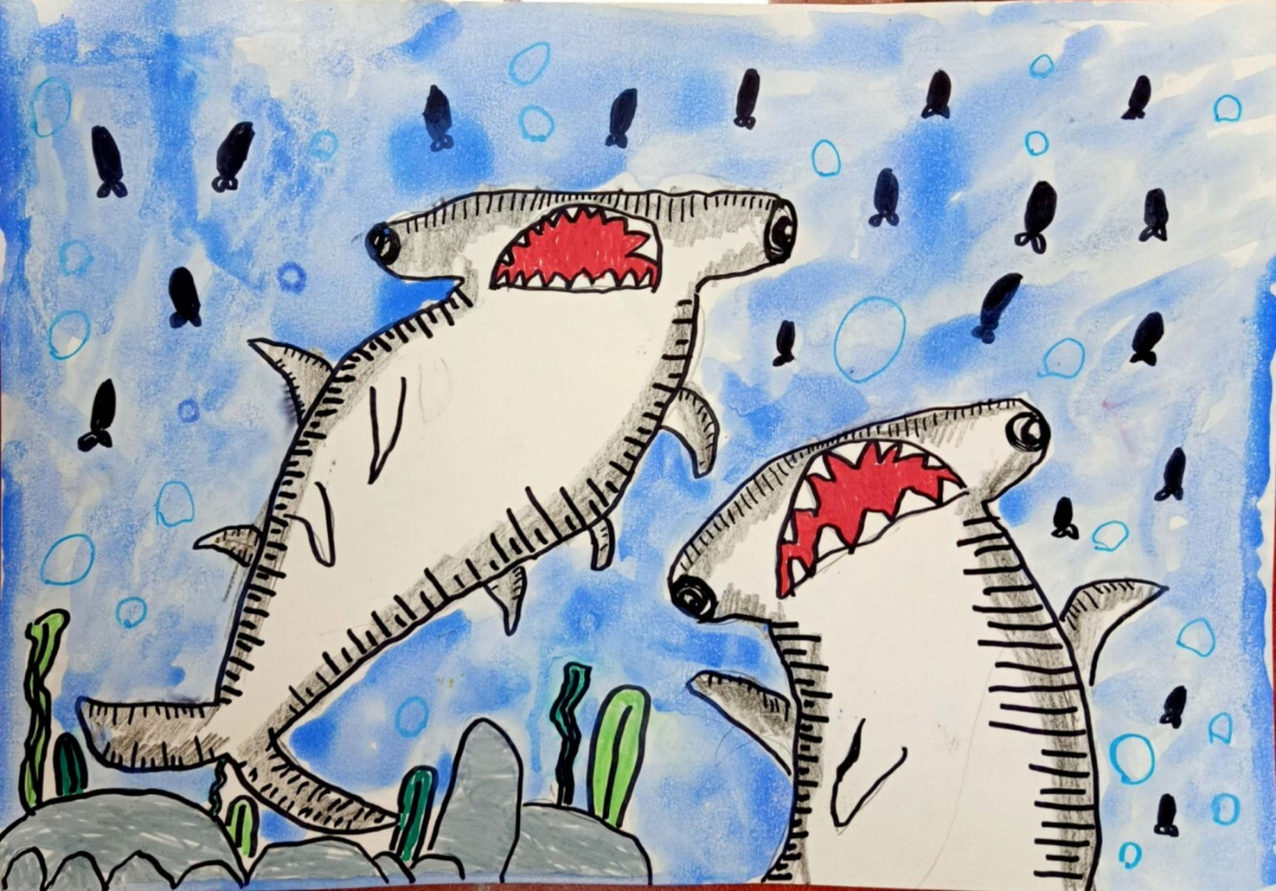 02知道锤头鲨的结构特点,并用绘画表现出来. 2.