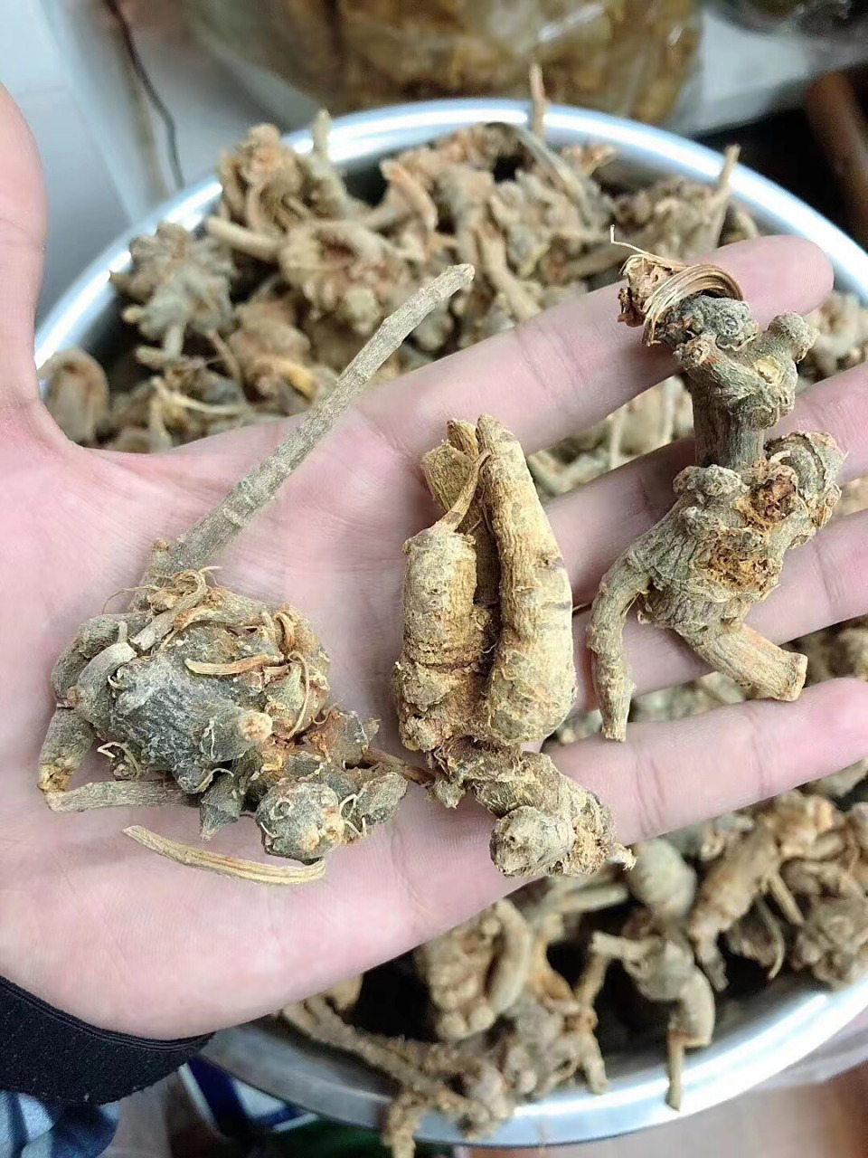 云南野生原枝田七(三七) 功效:止血,散瘀,消肿,定痛.