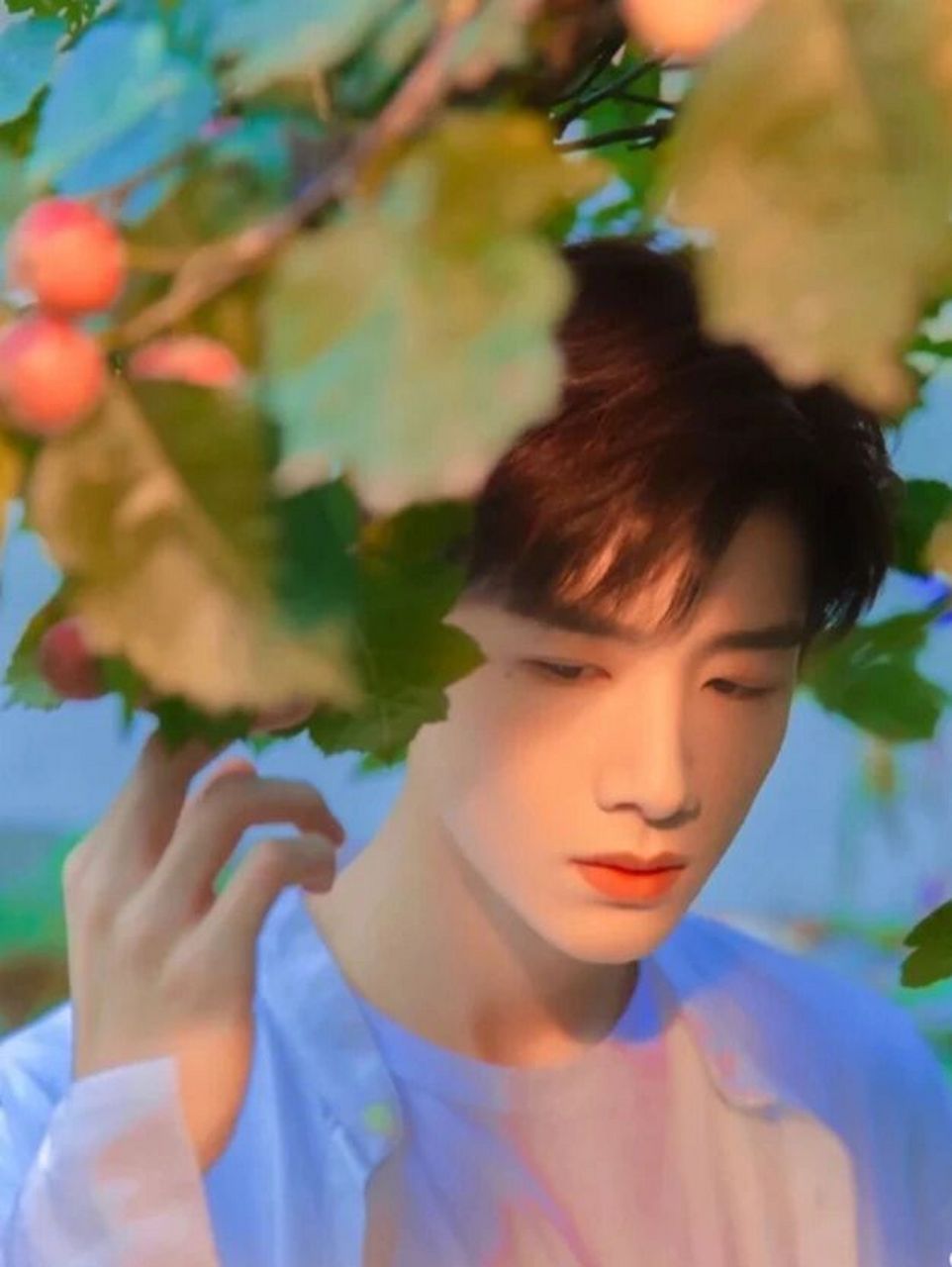 白敬亭的那些神图 怀柔小王子绝了