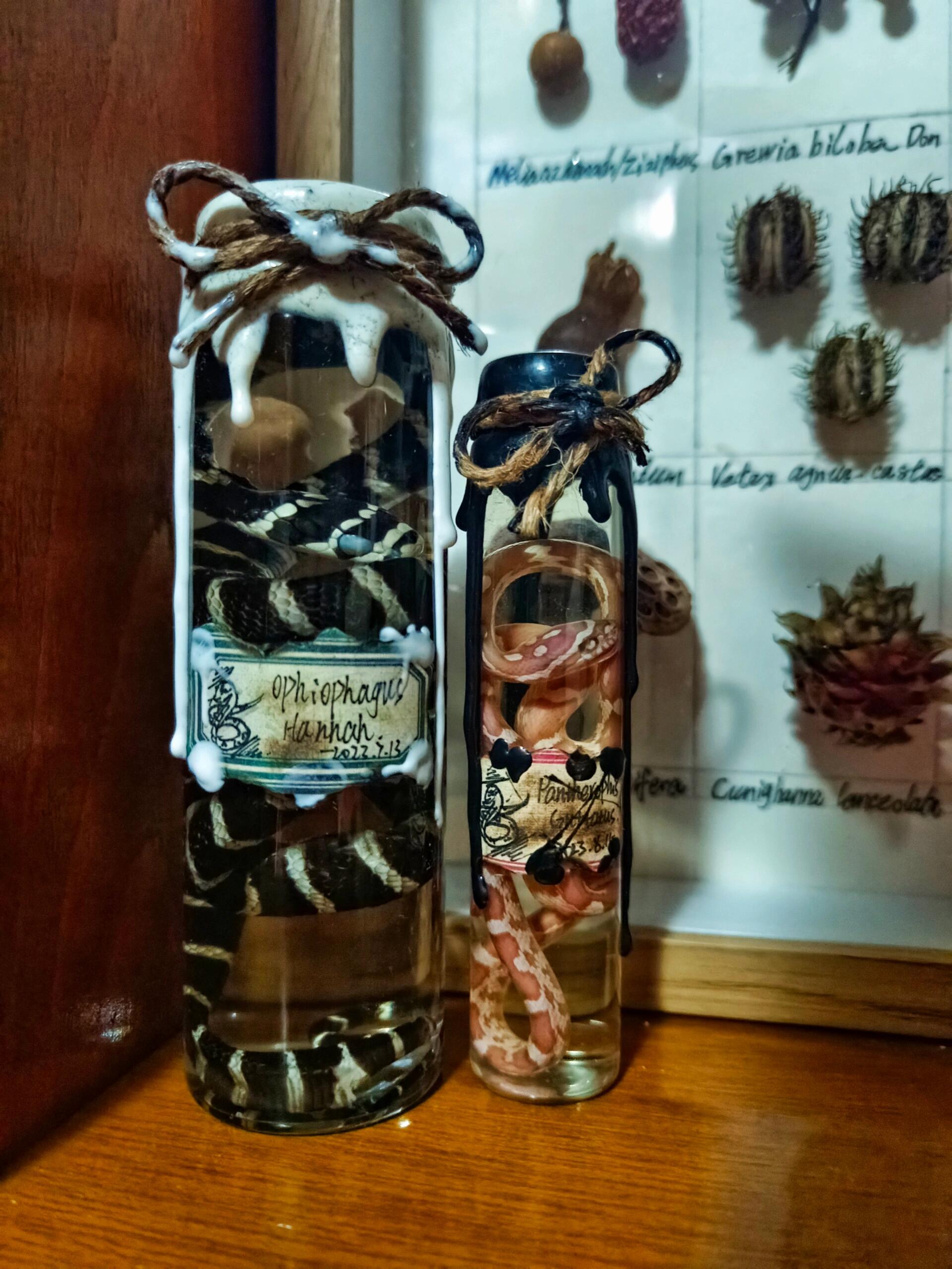 1920_2560竖版 竖屏