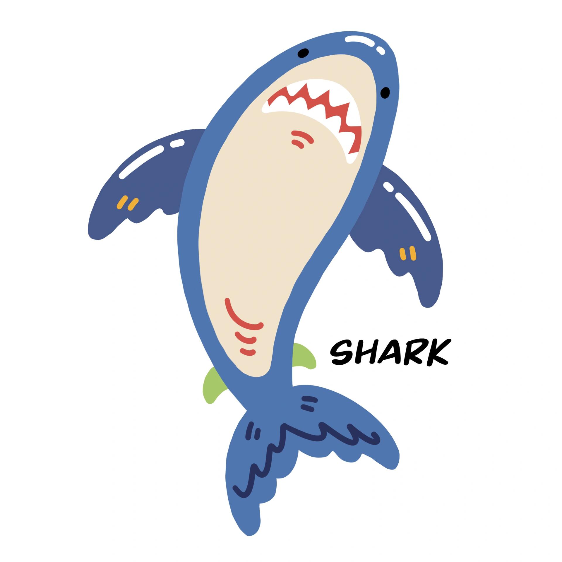 鲨鱼shark|(37/100)100只动物