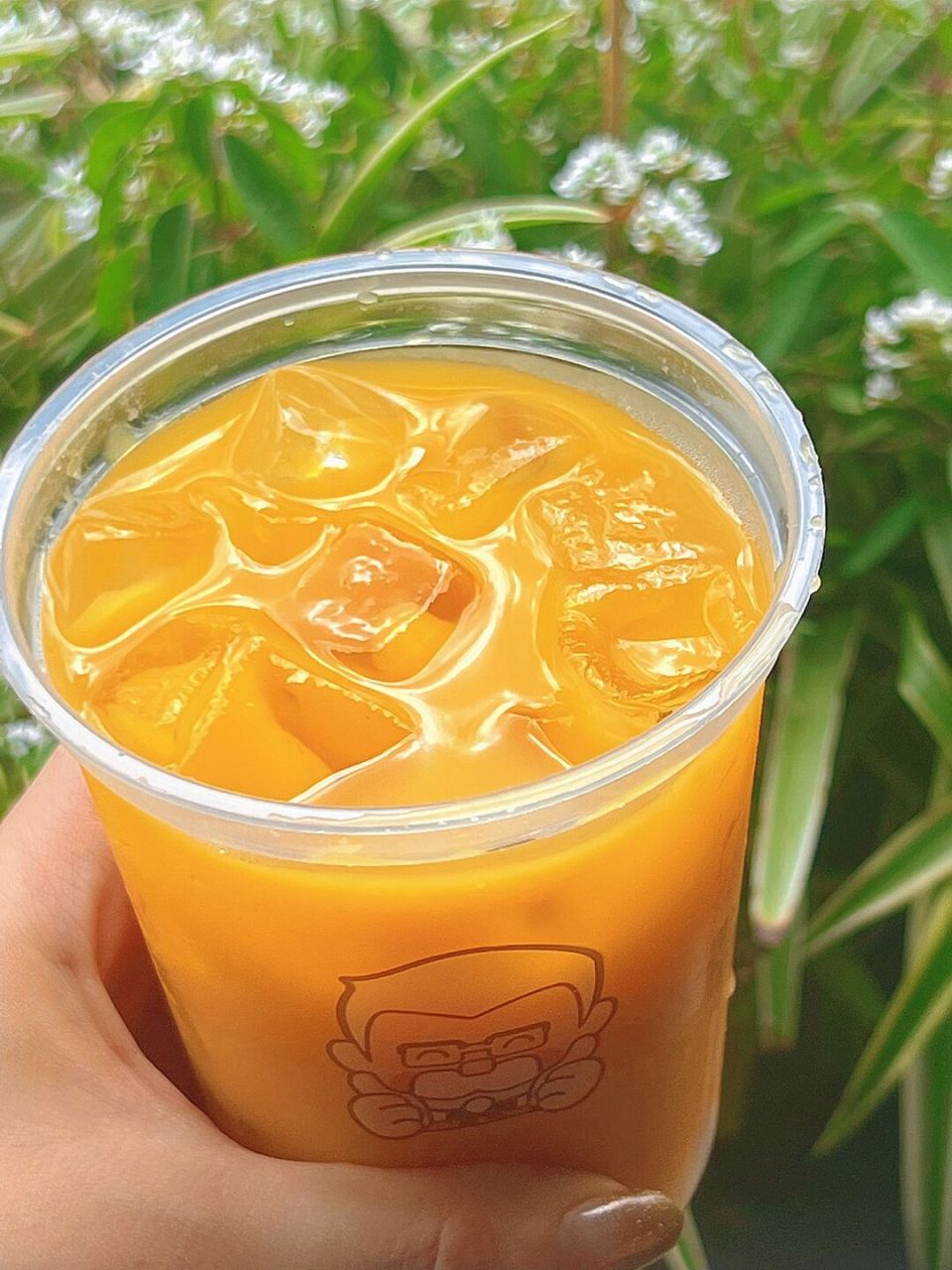 98清爽哭了6015这杯kfc的芒果果茶03真没有雷 kfc又上夏日