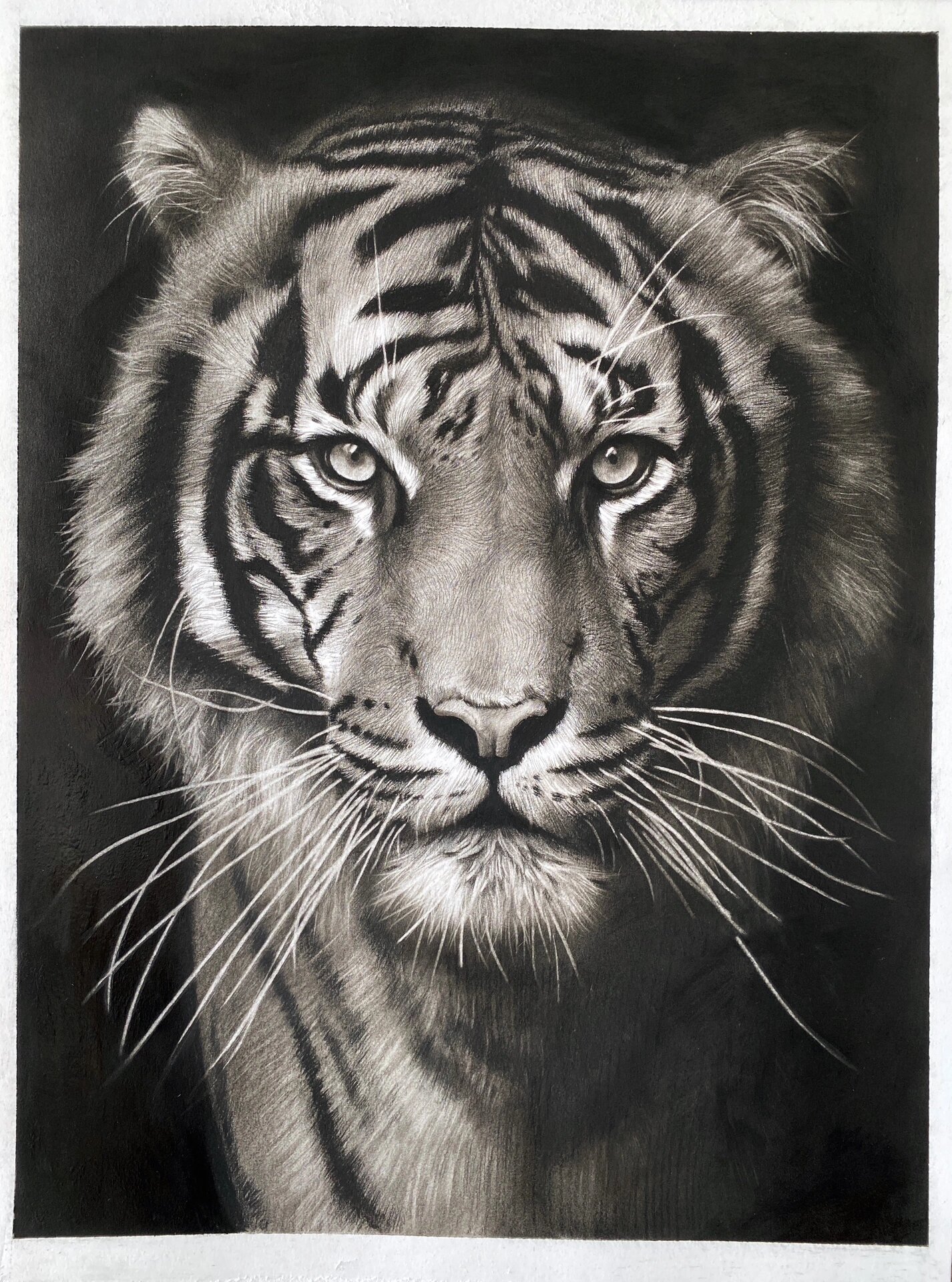 素描动物 | 超级有细节的素描动物·素材图 艺术家:梁杰老师