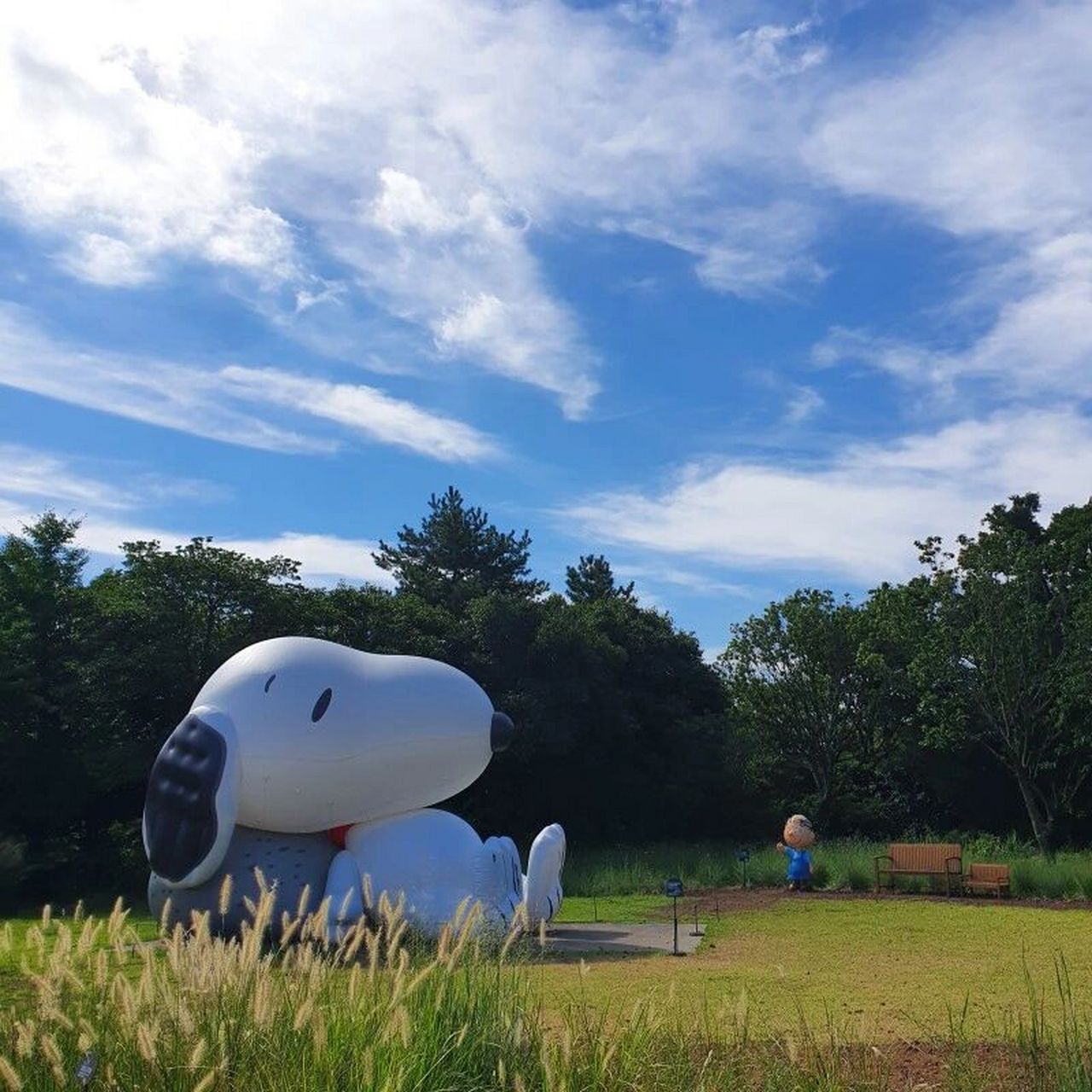 济州岛民推荐景点 |snoopy  garden 21856175