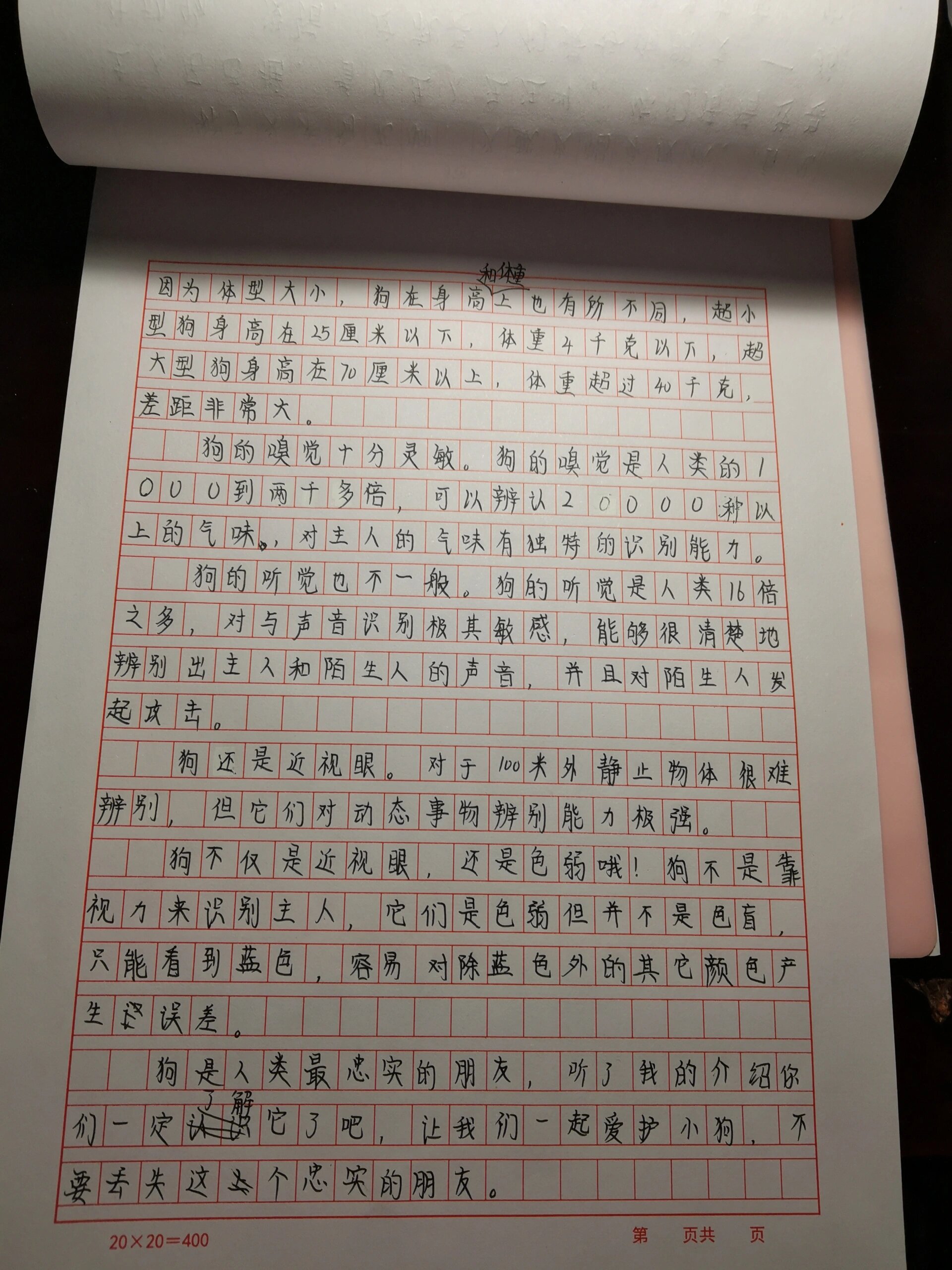 说明文450字图片