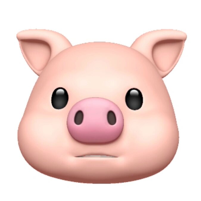 猪头图片