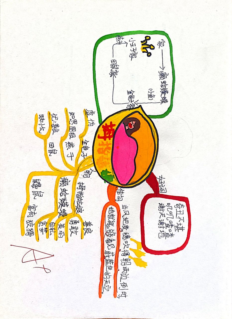 安徒生童话 拇指姑娘三年级开始慢慢学着画思维导图