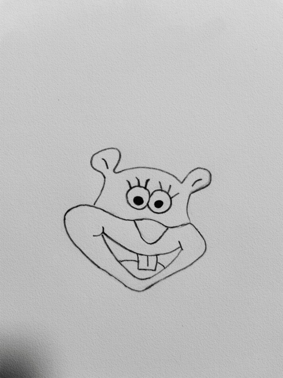 今日简笔画‖珊迪(内有教程90) 请相信,你想要的都会如期而至.