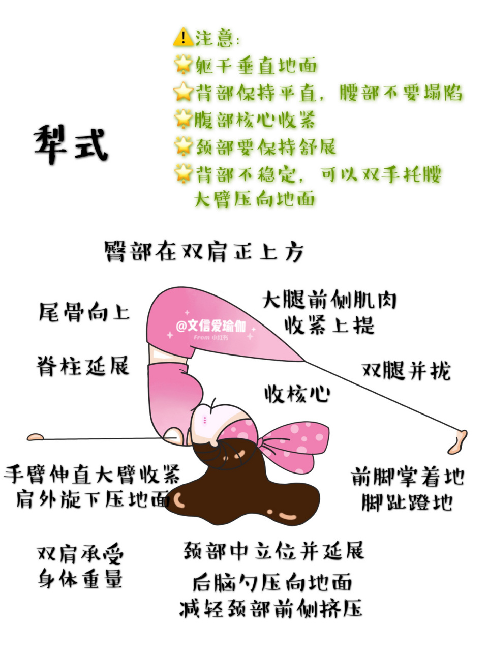 犁式其实并没有那么可怕 瑜伽体式讲解 瑜伽体式"养生之王"-犁式,对于