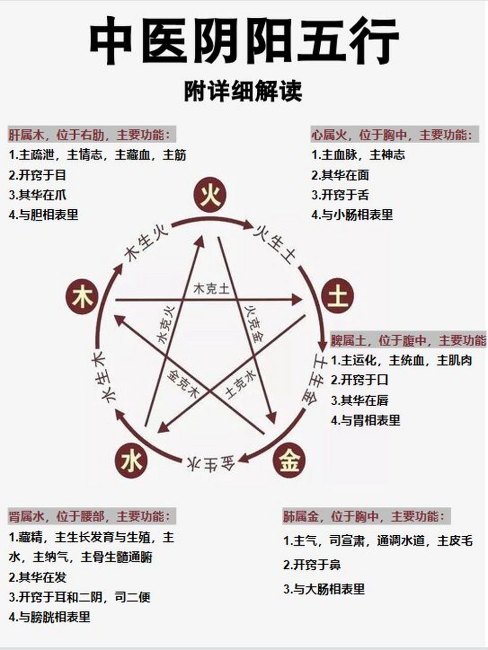 中医阴阳五行 |中医基础理论知识 中医阴阳五行 |中医基础理论知识