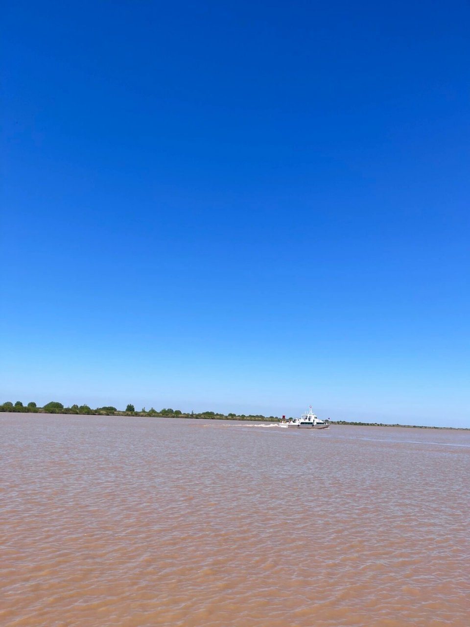 山东东营,黄河入海口景区 山东东营,黄河入海口景区,也是鸟类湿地保护