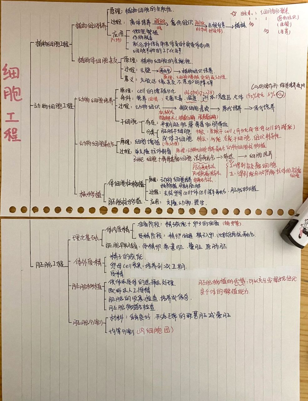 生物选择性必修三第二章思维导图
