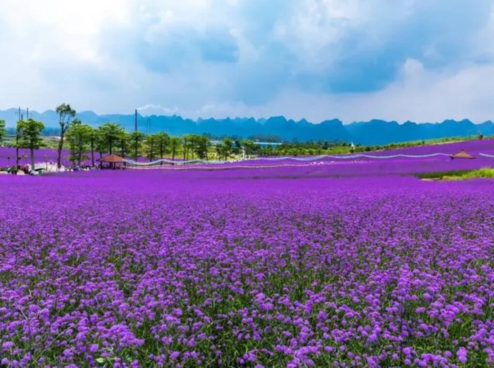 来宾市 圣堂山 百崖大峡谷 金秀大瑶山 莫土司衙署 忻城薰衣草庄园