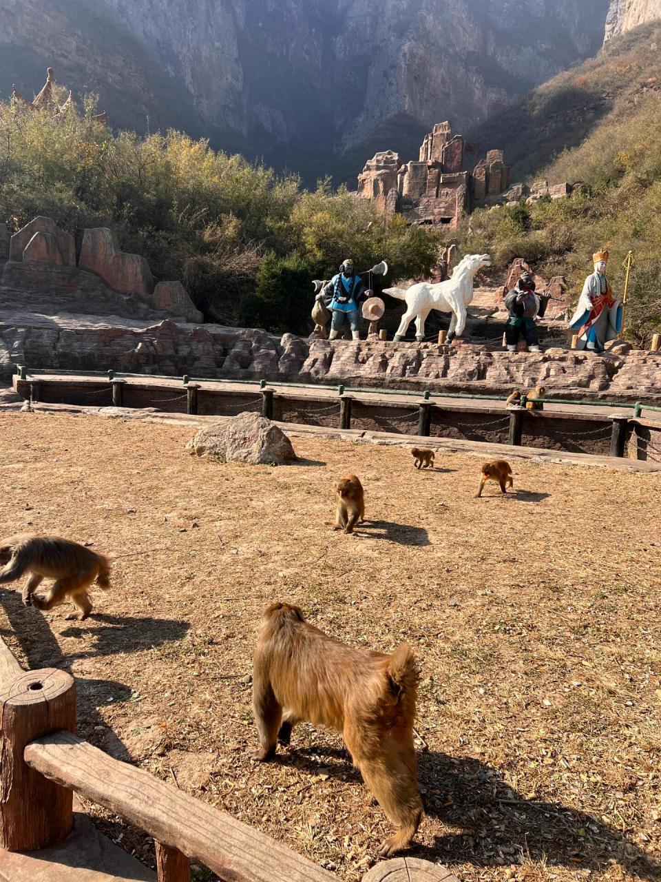 河南济源猴山图片