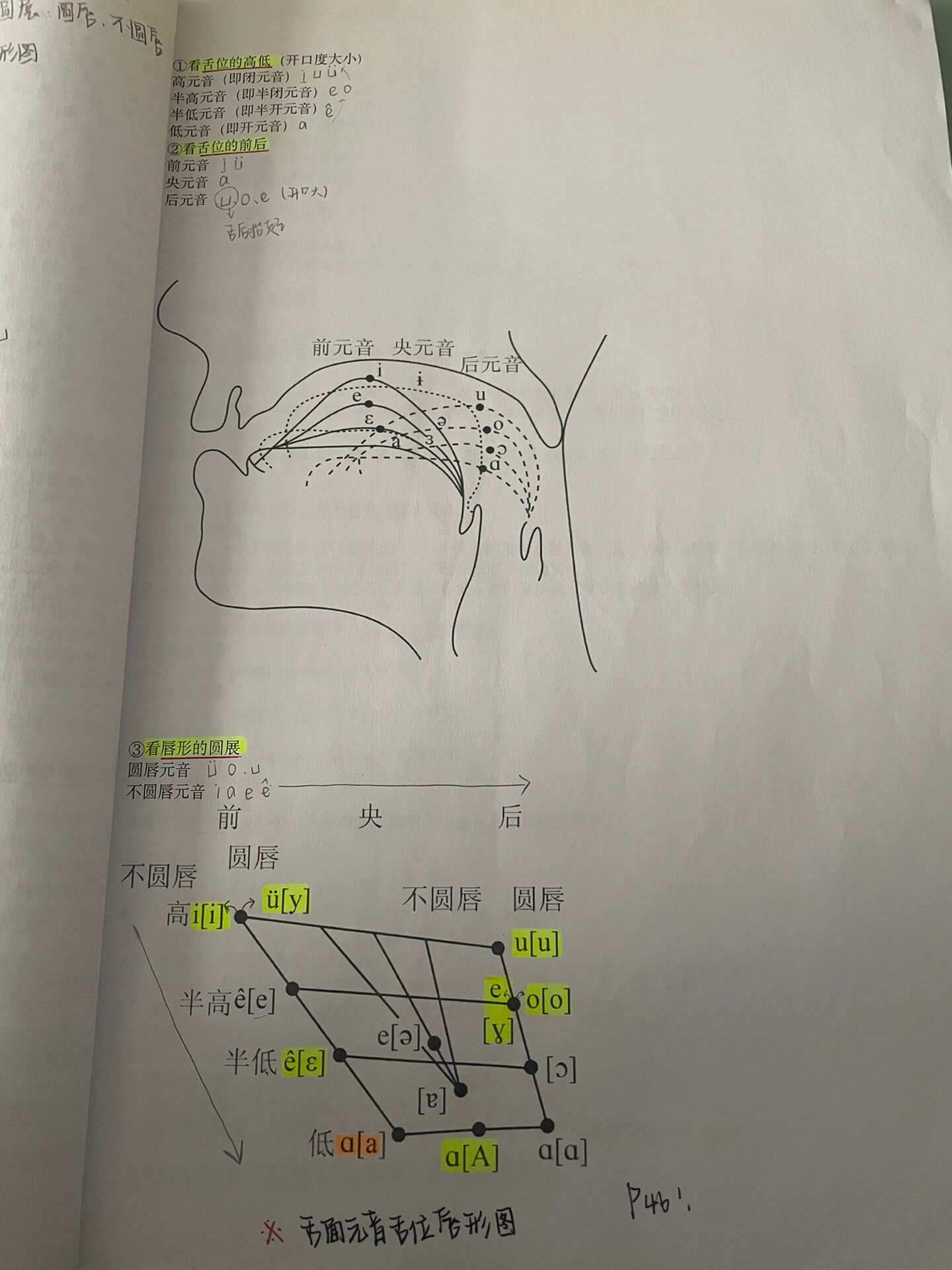 舌面元音发音示意图图片