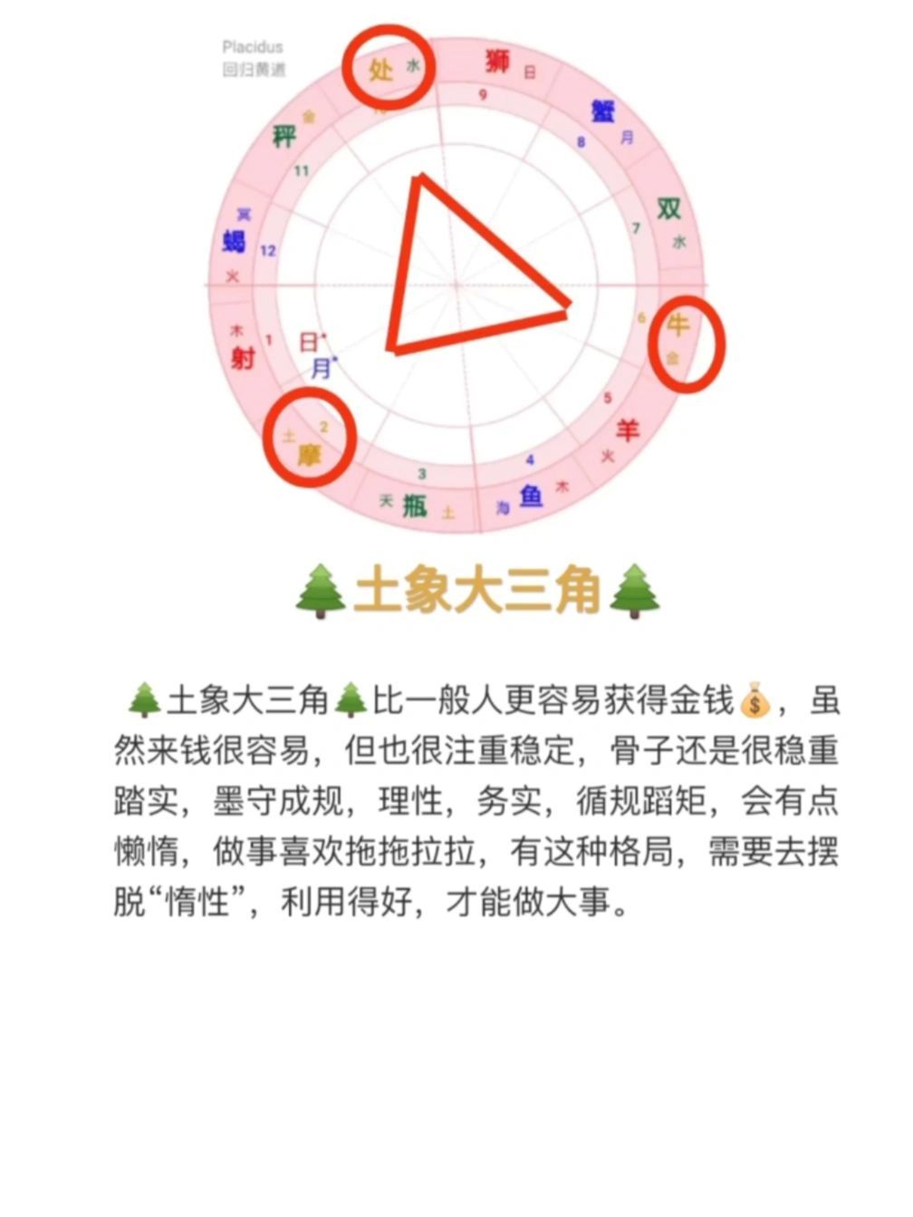 水象大三角格局的人图片