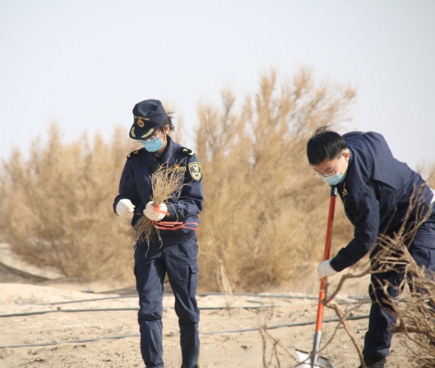 4月9日,额济纳海关组织50余名干部职工,来到额济纳旗黑城遗址附近的"