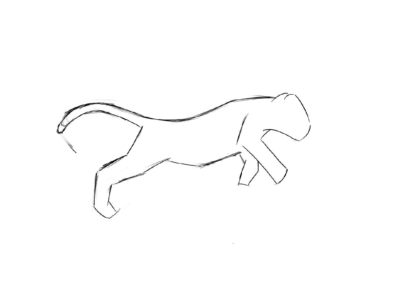 画豹子步骤(记录学习笔记)第12天