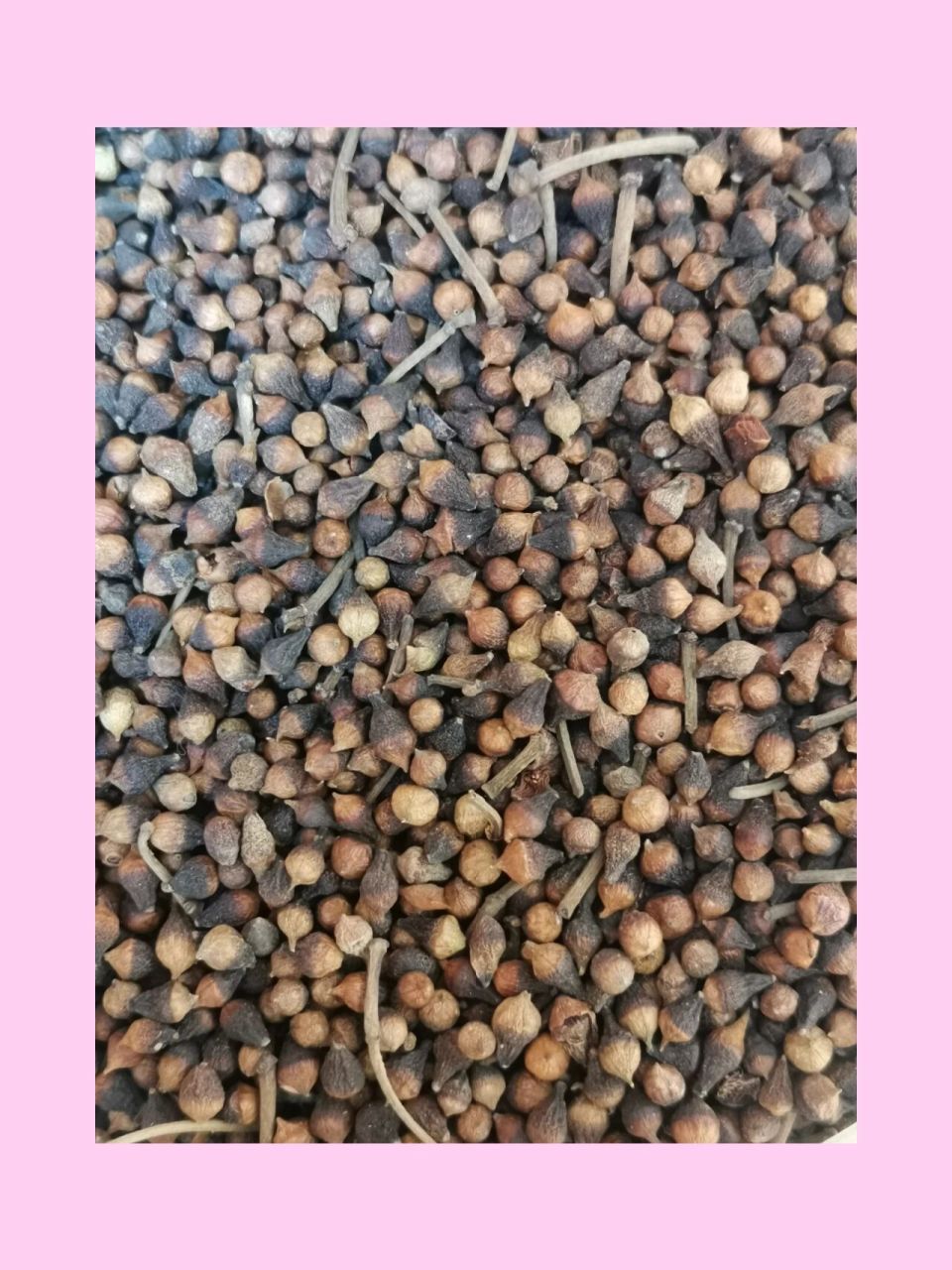 3,水翁花还有抑菌的作用,还能改善皮肤瘙痒