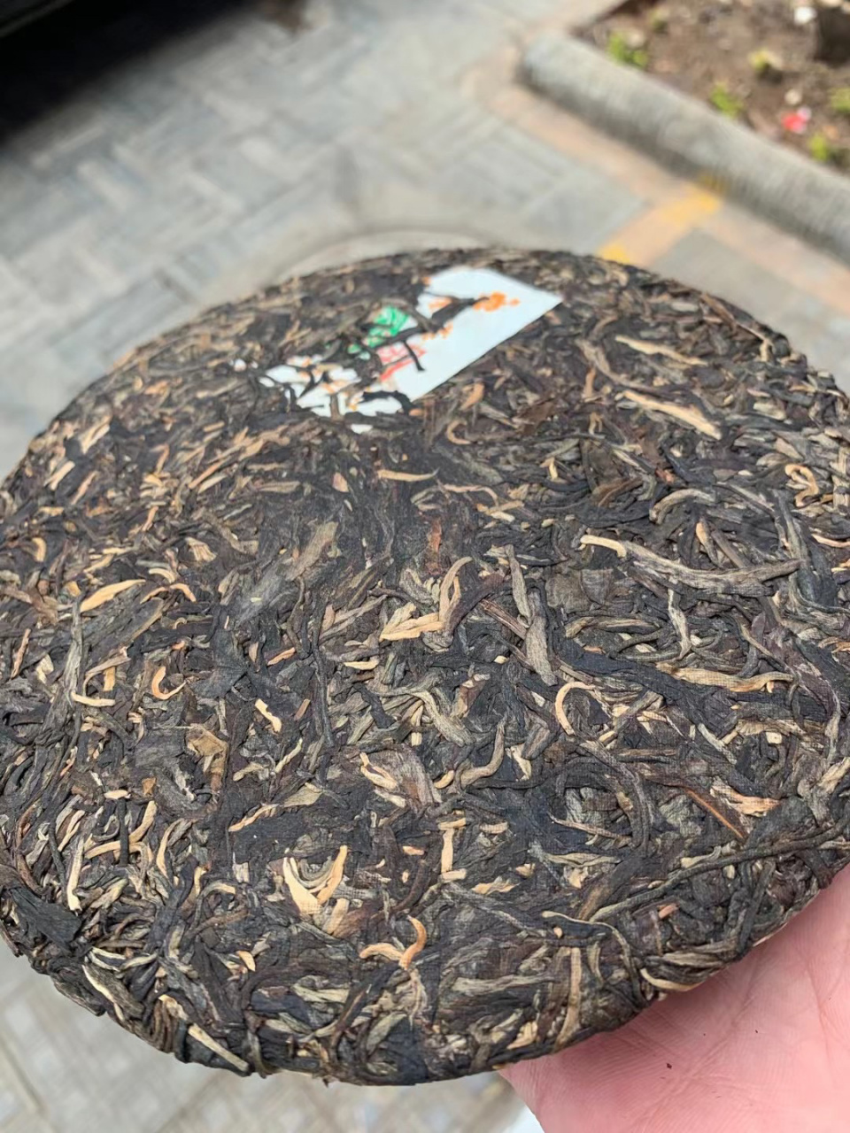 02年大白菜茶王青饼,兰花香高扬且挂杯持久,茶气相当足,茶味干劲霸气