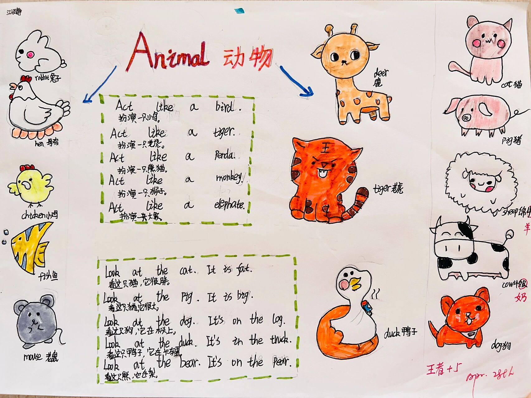 人教pep版英语词汇复习动物思维导图